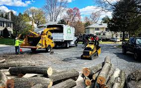 St Pauls, NC Tree Removal Company