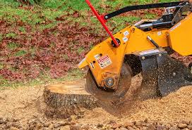 Best Tree Maintenance Programs  in St Pauls, NC