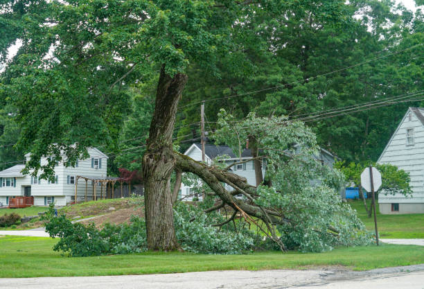 Best Utility Line Clearance  in St Pauls, NC